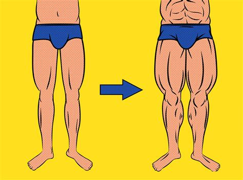 Comment muscler ses jambes quand on débute et part de zéro