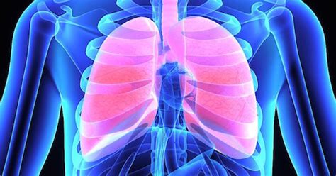 Bukan hanya air kencing dan kotorannya yang membahayakan, hampir semua cucian piring yang menumpuk dapat menarik hadirnya kecoa, maka dari itu setelah makan. Tips Dan Cara Mengeluarkan Toksin Dari Badan - Kerjaku Sini