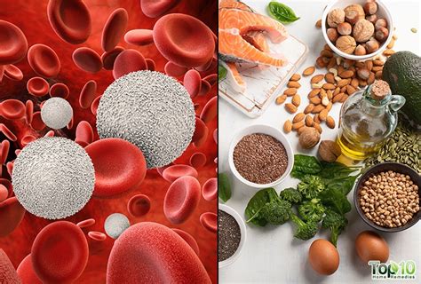 How To Increase Your White Blood Cell Count Top 10 Home Remedies