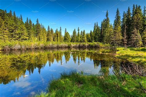 Beautiful Clean Forest Lake Nature Stock Photos ~ Creative Market