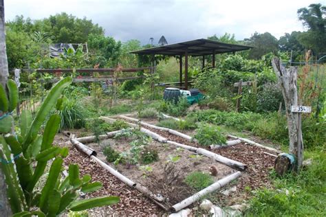 Whats The Difference Between Permaculture And Organic Farming
