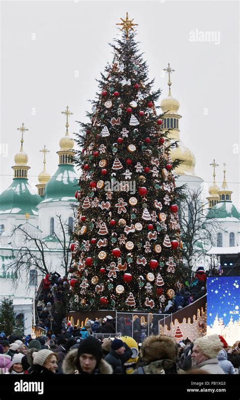 Kiev Ukraine 07th Jan 2016 The Main Christmas Tree Of Ukraine