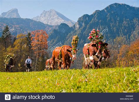 Bavaria , german bayern , largest land (state) of germany , comprising the entire southeastern portion of the country. Bavaria, Germany, Europe, Upper Bavaria, custom, tradition ...