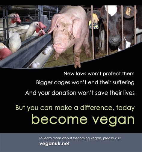 Best Vegan Poster Veggieboards