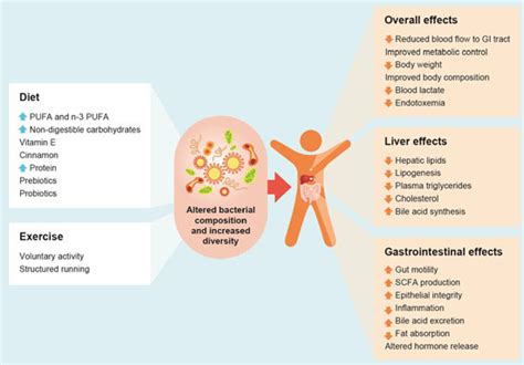 Ijms Free Full Text Gut Microbiota And Lifestyle Interventions In Nafld