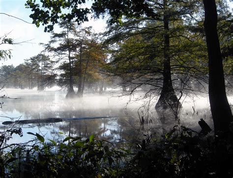 #125 of 274 mountain bike trails in texas. Explore Martin Dies, Jr. State Park Blogs