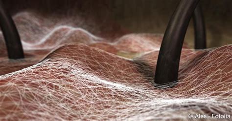 Pityriasis versicolor, sometimes called tinea versicolor, is a common condition that causes small pityriasis versicolor is caused by a type of yeast called malassezia. Pityriasis versicolor (Kleienpilzflechte): Ansteckung ...