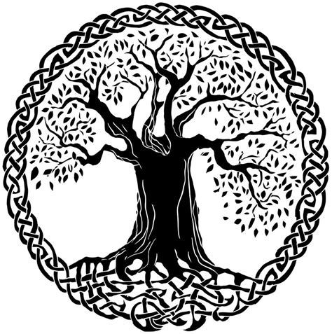 Celtic Tree Of Life Drawing At Getdrawings Free Download