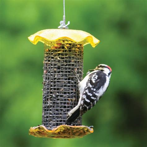These building codes establish standards for constructing buildings, including design requirements, building material specifications, parking requirements. Shop Birds Choice Sunflower Steel Tube Bird Feeder at ...