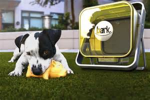 A Protected Outdoor Dog Feeder That Safeguards Your Pet Against