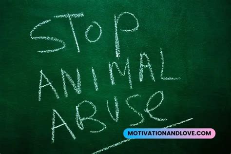 Stop Animal Abuse Quotes Motivation And Love