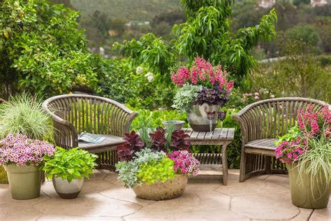 Team Hoffmann 2022 Outdoor Living Trends 4 Plants Plants And More