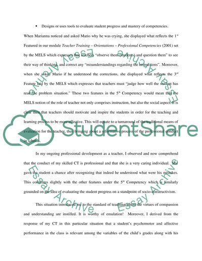 Teacher Professionalism Essay Example Topics And Well Written Essays