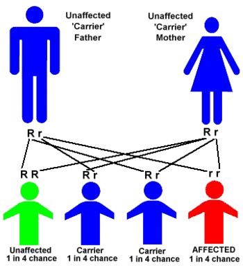Sickle-cell disease