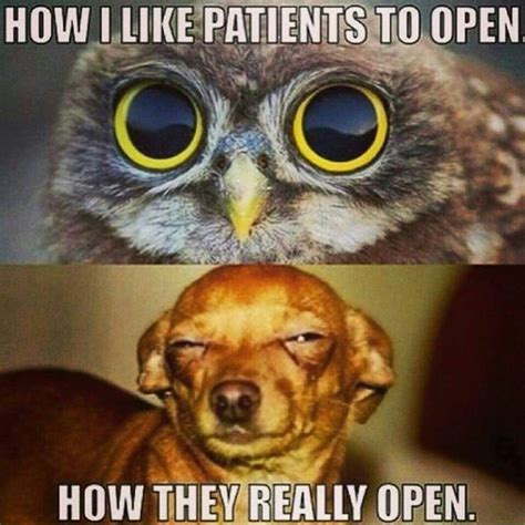 Best 25 Optometry Humor Ideas On Pinterest Eye Jokes Optometry And