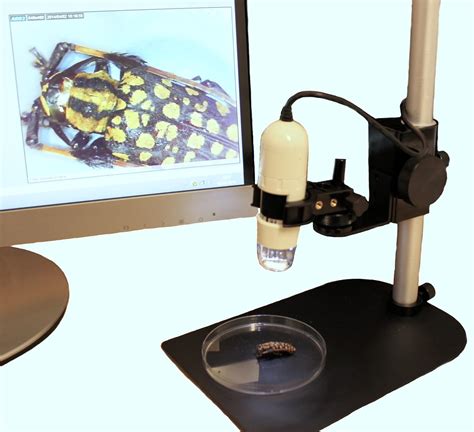 Dino Lite Usb Digital Microscope 10x 50x And 200x Mag 03mp Resolution