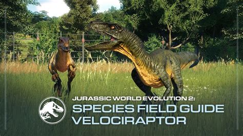 Species Field Guide Velociraptor Jurassic World Evolution 2 Youtube