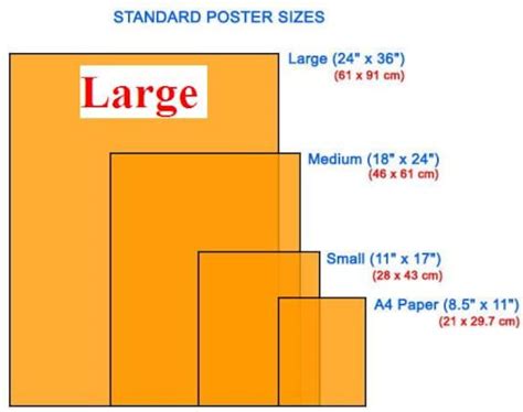 Large Poster 24 X 36 Inches 610 X 910 Mm