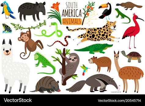 South america animals cartoon guanaco Royalty Free Vector