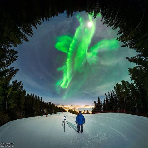 Apod 2022 March 22 A Whale Of An Aurora Over Swedish Forest