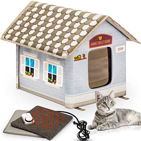 5 Best Cat House For 2021 Tested And Reviewed