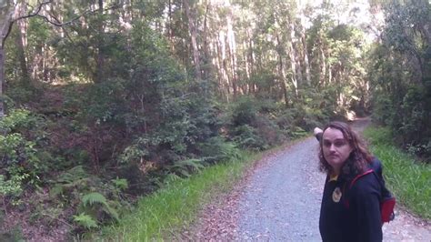 Deepwater national park has had a history of yowie sightings over the years. Yowie Research Springbrook Gold Coast Part 2 - YouTube