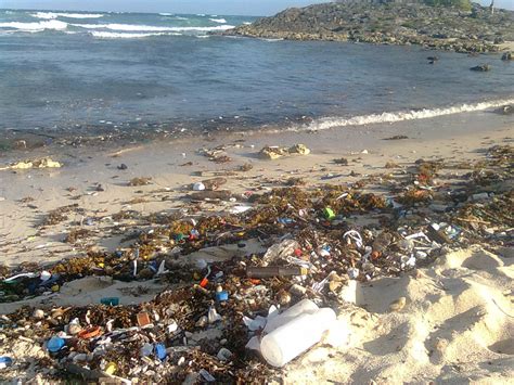 Basura En Zona De Playas Afecta La Imagen De Tulum
