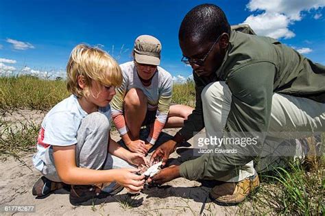Animal Tracks Guide Photos And Premium High Res Pictures Getty Images