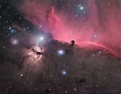 Horsehead Nebula Region Astrophotography Meadowlarkridgeobservatory