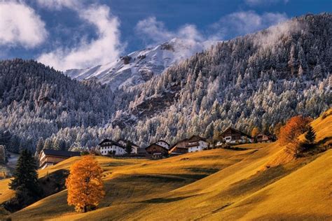 Nature Landscape Mountains Forest Snowy Peak Fall Village Dry Grass