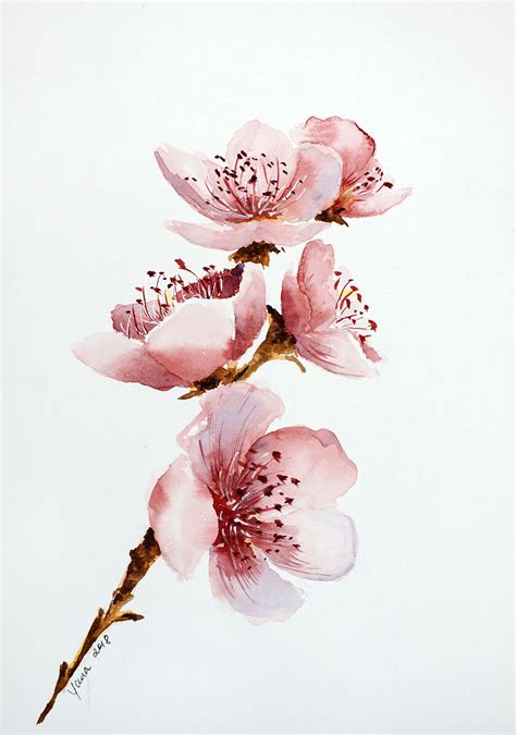 Watercolor Course Cherry Blossom Step By Step Cherry Blossom Watercolor Cherry Blossom Art