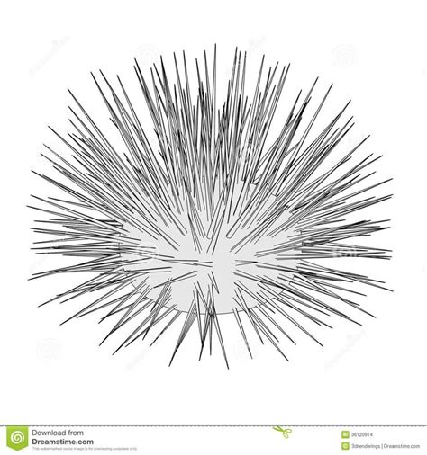 Image Of Sea Urchin Download From Over 48 Million High Quality Stock