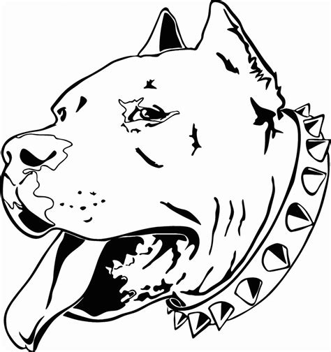 Tribal Pitbull Tattoo Design Amazing Tats Pinterest Sketch Coloring Page