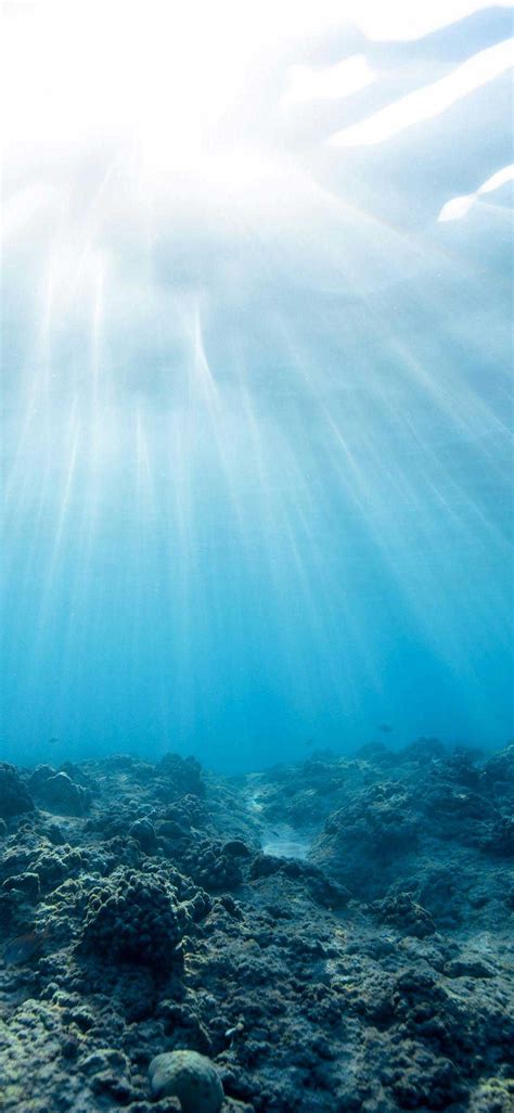 Iphone X Wallpapers Underwater World Ocean Corals Hd In 2020 Iphone