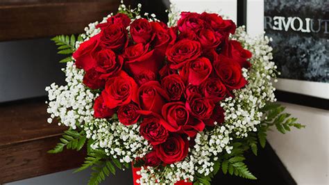 Although having had one or two issues in the past with serenata i can. Need a last minute deal on Valentine's Day flowers ...