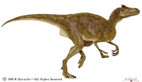 Deltadromeus Pictures And Facts The Dinosaur Database