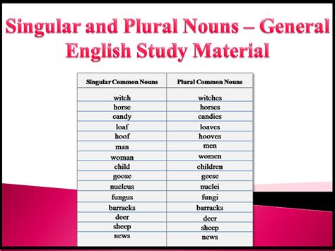 Singular And Plural Nouns General English Study Material