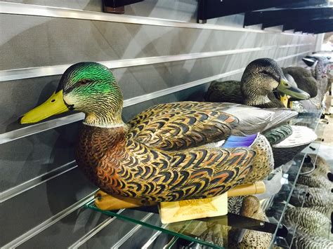 The mallard (/ˈmælɑːrd, ˈmælərd/) (anas platyrhynchos) is a dabbling duck that breeds throughout the temperate and subtropical americas, eurasia, and north africa. Hunting: NEW Avian-X Decoys for 2015.