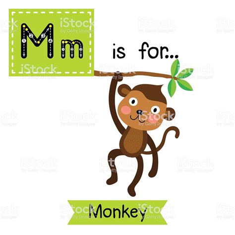 M Letter Tracing Monkey Cute Children Zoo Alphabet Flash Card