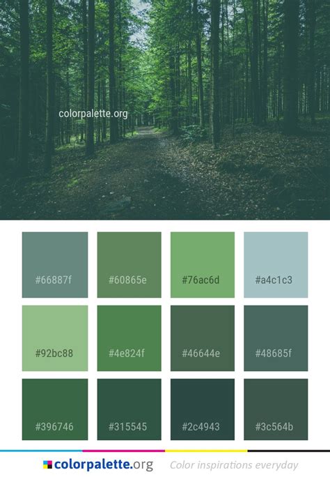 Forest Green Color Scheme Such As Large Blogsphere Picture Archive