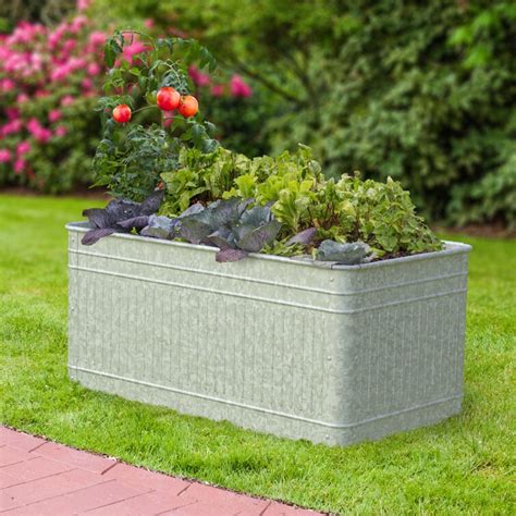 Gracie Oaks Ganley Galvanized Planter Box And Reviews Wayfair