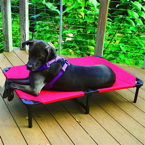 Lucky Dog Elevated Pet Bed Red Large 42l