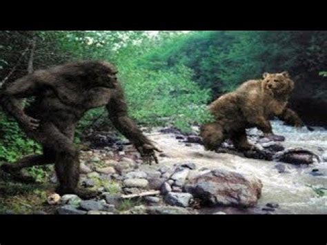 Discovering Bigfoot Film 2017 Kritikák Videók Szereplők Mafabhu