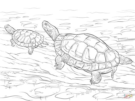 If your child watches the ninja turtle series he will be able to color the picture correctly. Two Painted Turtles coloring page | Free Printable ...