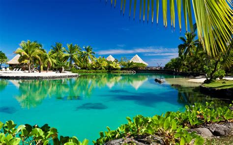 Fonds d écran Tropical paradis palmiers mer océan plage soleil x HD image