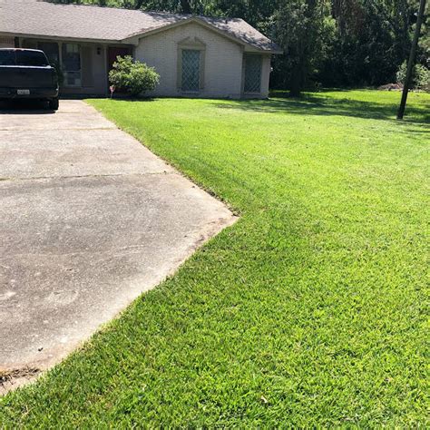 Bryans Lawn Care And Maintenance Landscaper In Houston Lawn Care Service