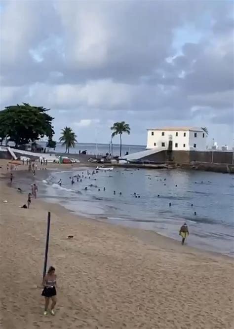 Banhistas Ignoram Decreto E Vão Ao Porto Da Barra Bahia No Ar