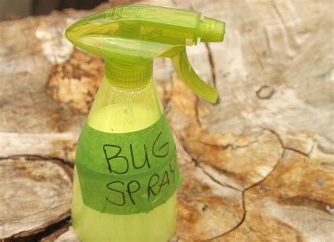 A Dozen 10 Minute Diys For A Pest Free Home Homemade Bug Spray