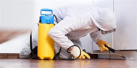 Последние твиты от nh pest control (@nh_pest). NH Pest Control