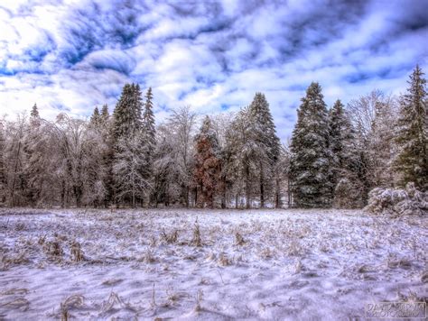 David Marvin Photography Lansing Michigan Winter Wonderland